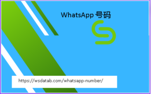 WhatsApp 号码