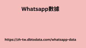 新加坡 WhatsApp 號碼數據